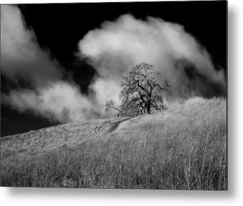 Panoramic Metal Print featuring the photograph The clouds and the tree by Alessandra RC