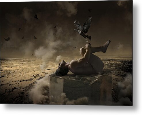 Crow Metal Print featuring the photograph The Crow Iv by Ddiarte
