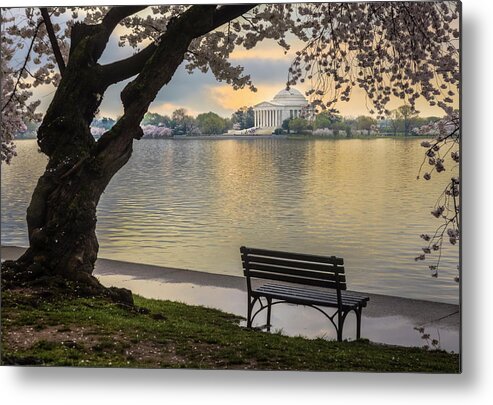 Tidal Basin Metal Print featuring the photograph Tidal Basin With Cherry Blossoms And by Drnadig