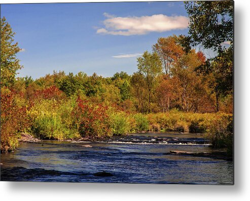 Allegheny Mountains Metal Print featuring the photograph Tobyhanna Creek by Michael Gadomski