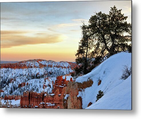 Bryce Canyon Metal Print featuring the photograph Utah Magic by Nicholas Blackwell