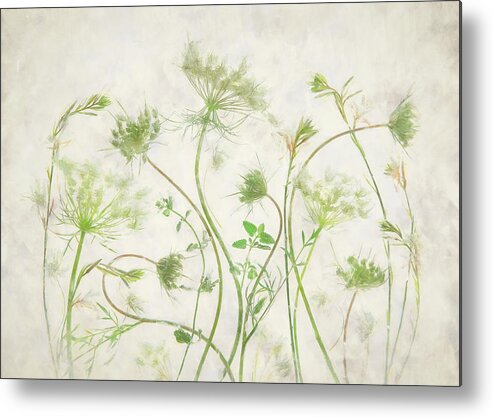 Wild Metal Print featuring the photograph Wild Herb Garden by Fangping Zhou