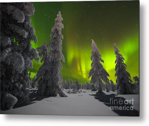 Country Metal Print featuring the photograph Winter Night Landscape With Forest by Oxana Gracheva