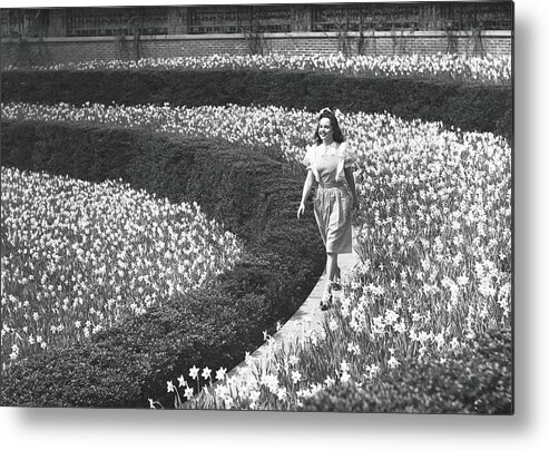 Flowerbed Metal Print featuring the photograph Woman Walking On Flowerbed, B&w by George Marks