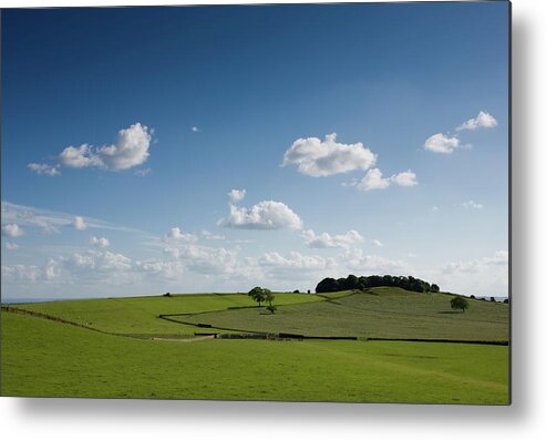 Grass Metal Print featuring the photograph Yorkshire Fields by Paul Indigo