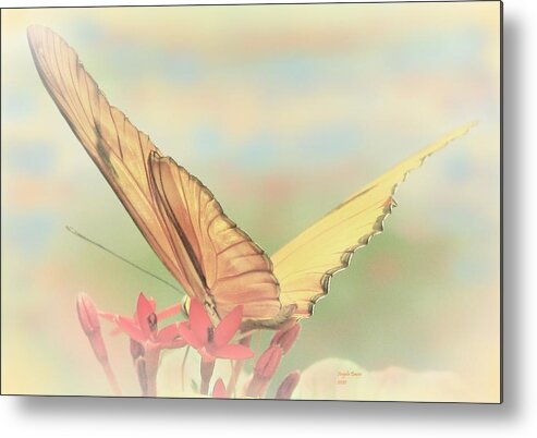 Butterfly Metal Print featuring the photograph Golden Moments #1 by Angela Davies