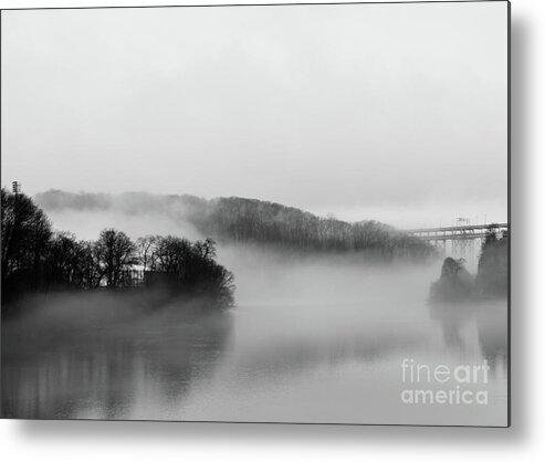 Inwood Metal Print featuring the photograph Inwood Hill with Fog #1 by Cole Thompson