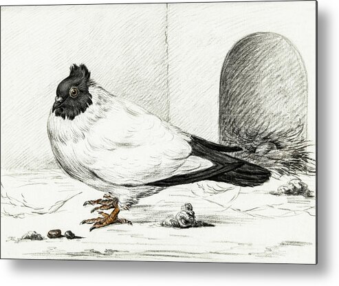 Animal Metal Print featuring the painting Pigeon and a nest with an egg #1 by MotionAge Designs