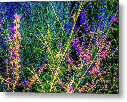 Wildflowers Metal Print featuring the photograph Wildflowers In Bloom #2 by D Davila