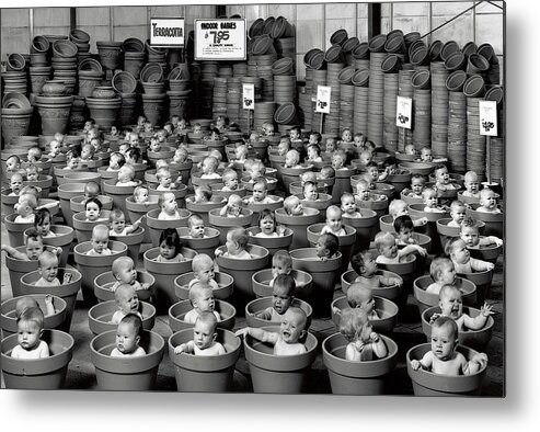 Black & White Metal Print featuring the photograph 123 Pots by Anne Geddes