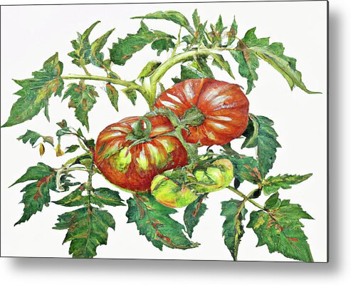Two Red Tomatoes Metal Print featuring the digital art 2 Tomatoes 2 B by Cathy Anderson
