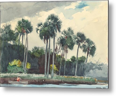 Winslow Homer Metal Print featuring the drawing Red Shirt, Homosassa, Florida by Winslow Homer