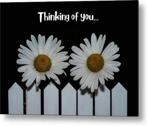 Greeting Card Metal Print featuring the photograph Thinking Of You #3 by Cathy Kovarik