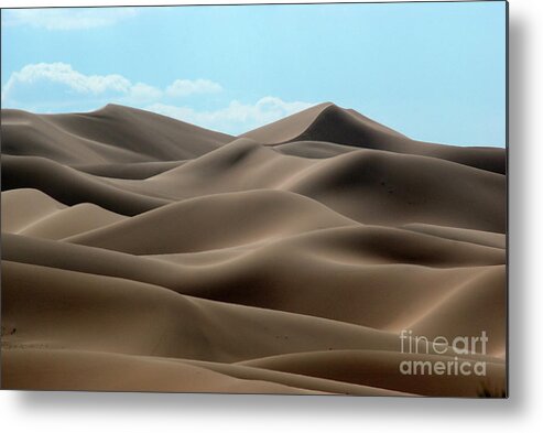 Gobi Desert Metal Print featuring the photograph Gobi desert #5 by Elbegzaya Lkhagvasuren