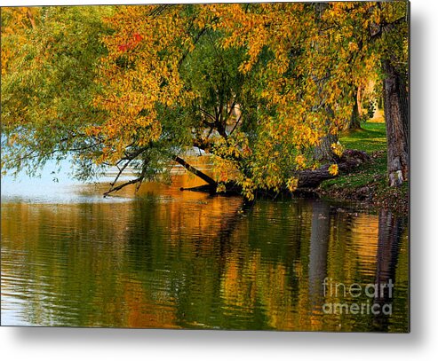A Colorful Scene Metal Print featuring the photograph A Colorful Scene to Reflect Upon by fototaker Tony