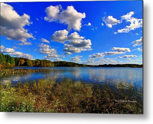 Landscape Metal Print featuring the photograph A Hint of Fall by Mary Walchuck