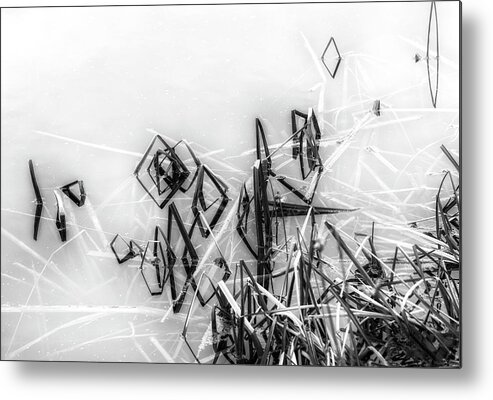 Pond Metal Print featuring the photograph Abstract Angles by Cate Franklyn