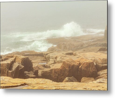 Acadia Metal Print featuring the photograph Acadia National Park Fog by Amelia Pearn