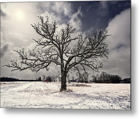 Geese Metal Print featuring the photograph After the Snow - Majestic snow-frosted oak tree in Wisconsin field with farm in background by Peter Herman