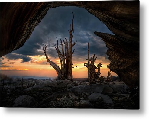 California Metal Print featuring the photograph Ancient by Steve Berkley