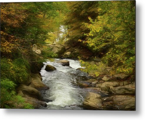 Scenic Metal Print featuring the photograph Babbling Brook In The Woods by Kathy Baccari