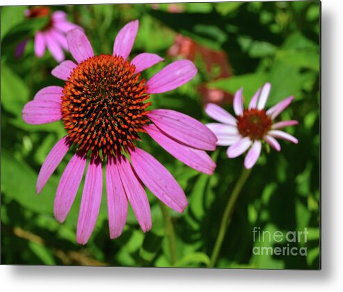 Flowers Metal Print featuring the photograph Believe In Yourself by Robyn King