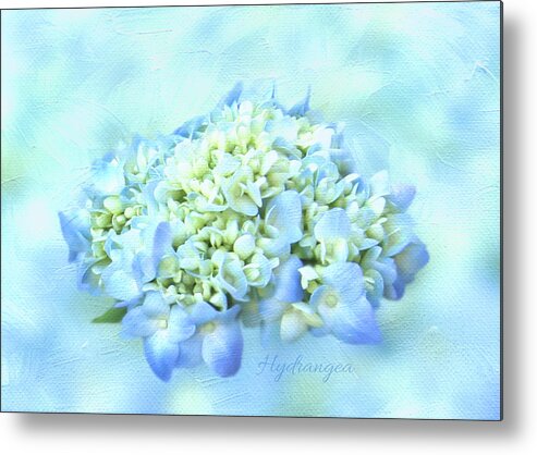 Hydrangea Metal Print featuring the photograph Blue Hydrangea Bloom Painterly by Patti Deters