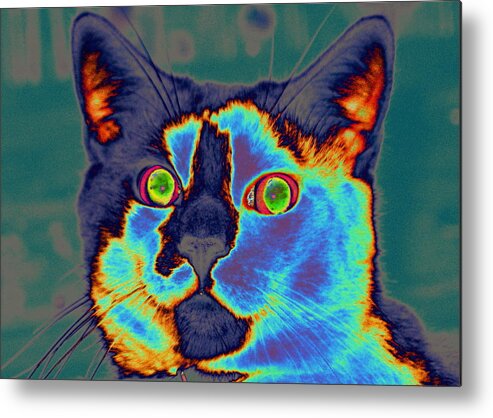 Kitty Metal Print featuring the digital art Blue Kitty by Larry Beat