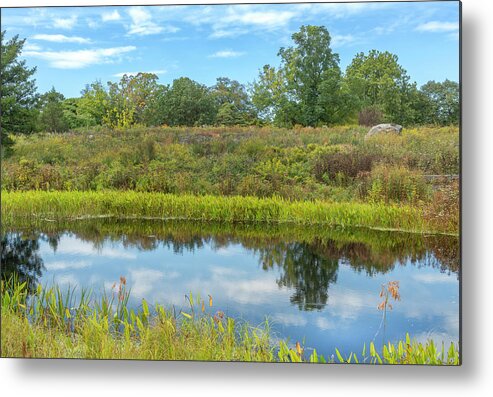 Bronx Botanical Gardens Metal Print featuring the photograph Blue Sky Reflections by Cate Franklyn