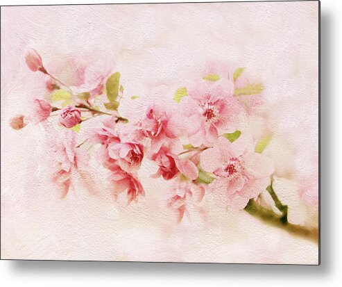 Blossom Metal Print featuring the photograph Blushing Blossom by Jessica Jenney