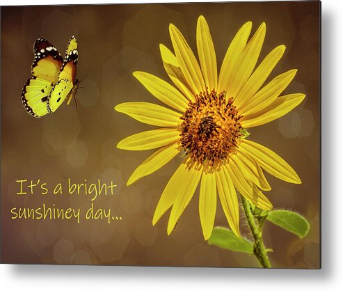 Note Card Metal Print featuring the photograph Bright Sunshiny Day by Cathy Kovarik