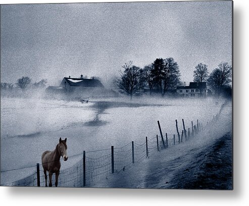Mist Metal Print featuring the photograph Brown Horse on a Blue Farm by Wayne King