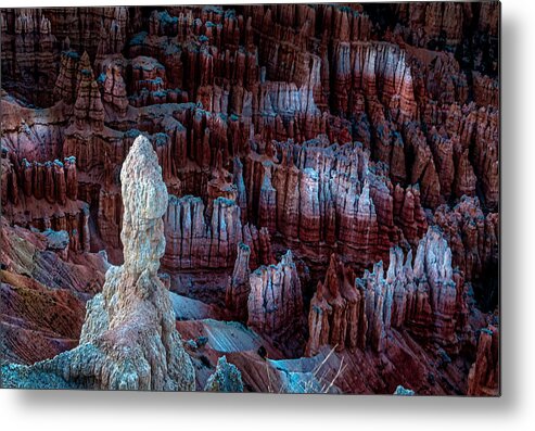 Bryce Canyon Metal Print featuring the photograph Bryce Canyon in Late Fall by Paul Malen