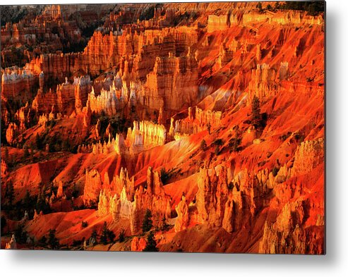 Bryce Canyon Metal Print featuring the photograph Fire Dance - Bryce Canyon National Park. Utah by Earth And Spirit