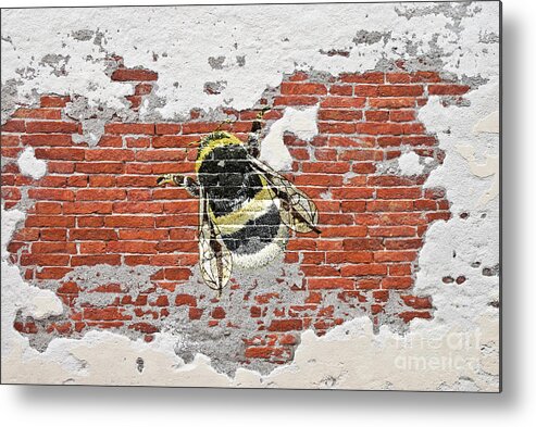 Bee Metal Print featuring the photograph Bumblebee on brick wall by Pics By Tony
