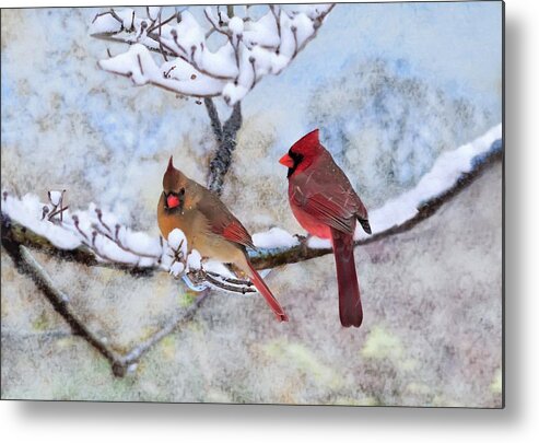 Male Cardinal Metal Print featuring the digital art Cardinals In The Snow by Sandi OReilly