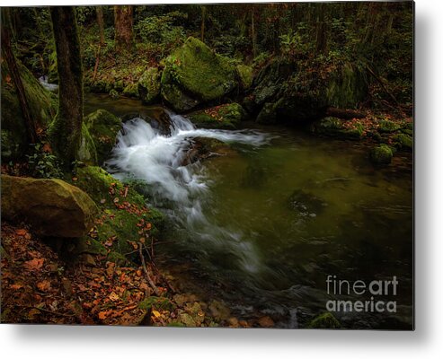 Waterfall Metal Print featuring the photograph Cascade at Rocky Fork II by Shelia Hunt
