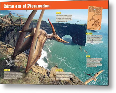 Mesozoico Metal Print featuring the digital art Como era el Pteranodon by Album