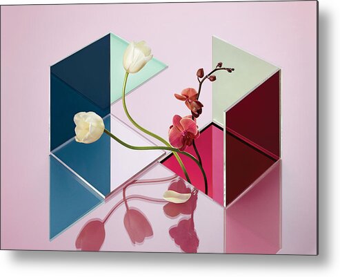 Still Life Metal Print featuring the photograph Conceptual Still Life of Flowers and Reflections by Nik Mirus