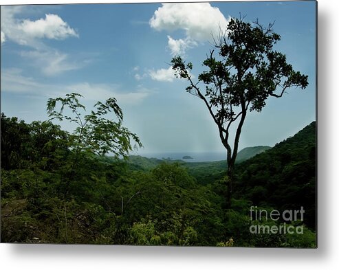 Costat Rica Metal Print featuring the photograph Costa Rica Horizon by Ed Taylor