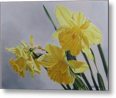 Floral Metal Print featuring the drawing Daffodils by Kelly Speros