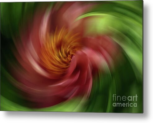 Dance Of The Flowers 3 Metal Print featuring the photograph Dance of the Flowers 3 by Rachel Cohen