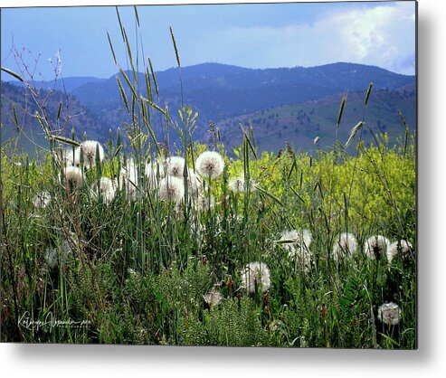Dandelion Metal Print featuring the photograph Dandelions and Mountains by Kathryn Alexander MA