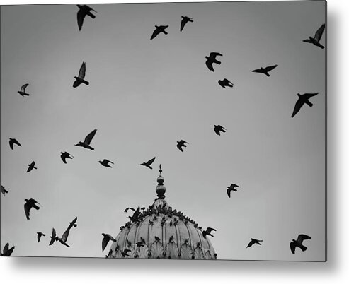 Minimalism Metal Print featuring the photograph Dome versus Flying Birds by Prakash Ghai