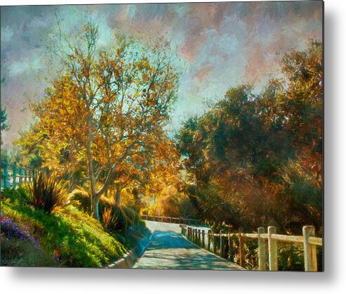 Fall Scene Metal Print featuring the photograph Down the Path BPRD by Alison Frank