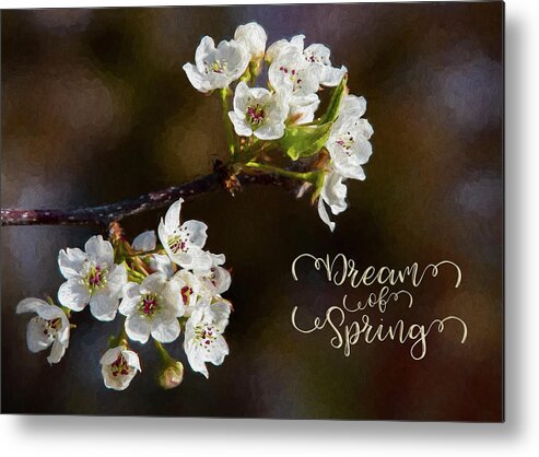 Spring Metal Print featuring the photograph Dream of Spring by Cathy Kovarik
