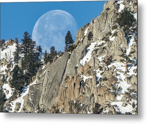  Metal Print featuring the photograph Dsc07067 by John T Humphrey