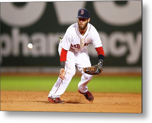 American League Baseball Metal Print featuring the photograph Dustin Pedroia by Jared Wickerham