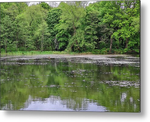 Ellesmere Lake Metal Print featuring the photograph Ellesmere Lake by Tony Murtagh