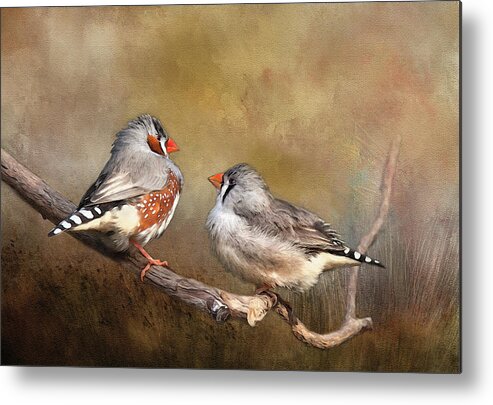 Finch Metal Print featuring the photograph Exotic Zebra Finch by Theresa Tahara